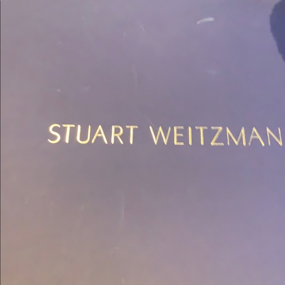 Stuart Weitzman Hilo thigh high suede boots - Picture 9 of 10